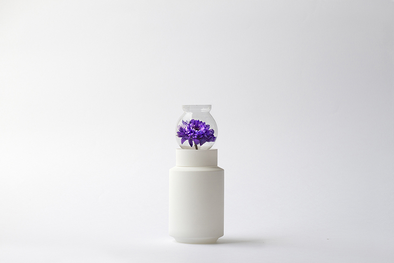 Experimenta- Pigeon 02