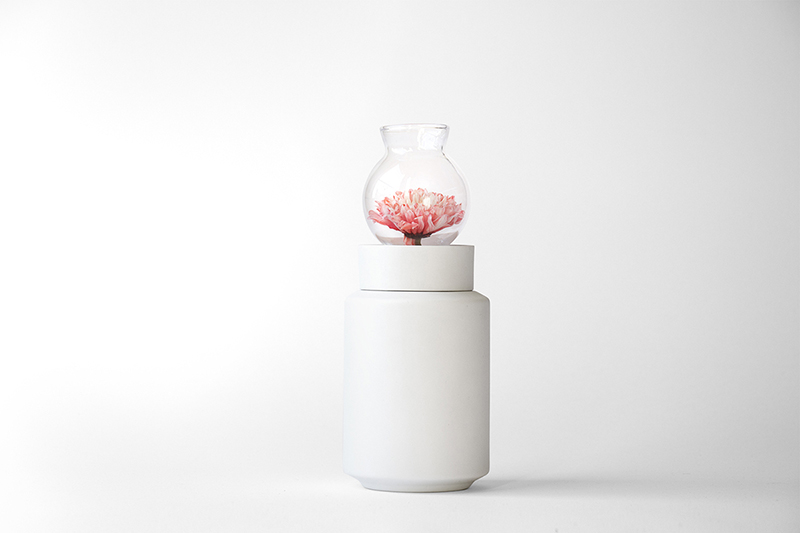 Experimenta-01-PIgeon CER-03