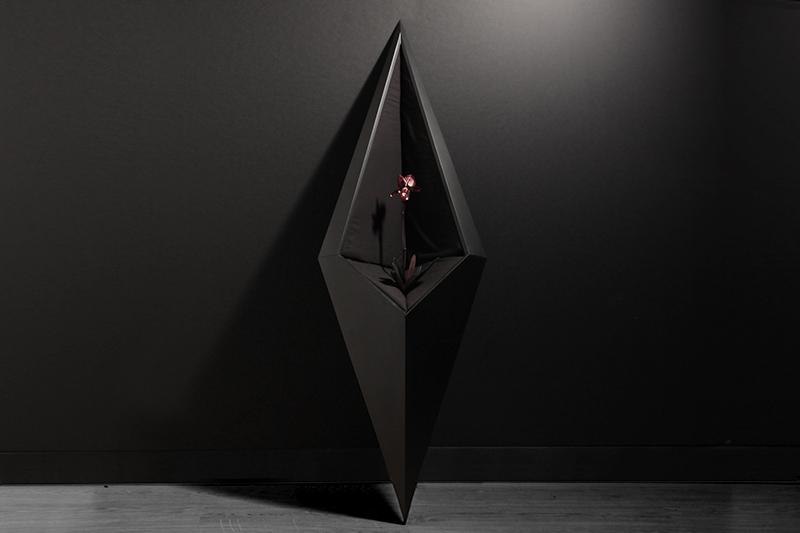 Geometrica 01 