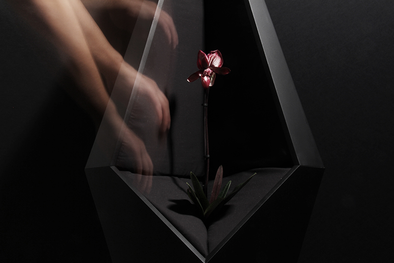 Geometrica 02