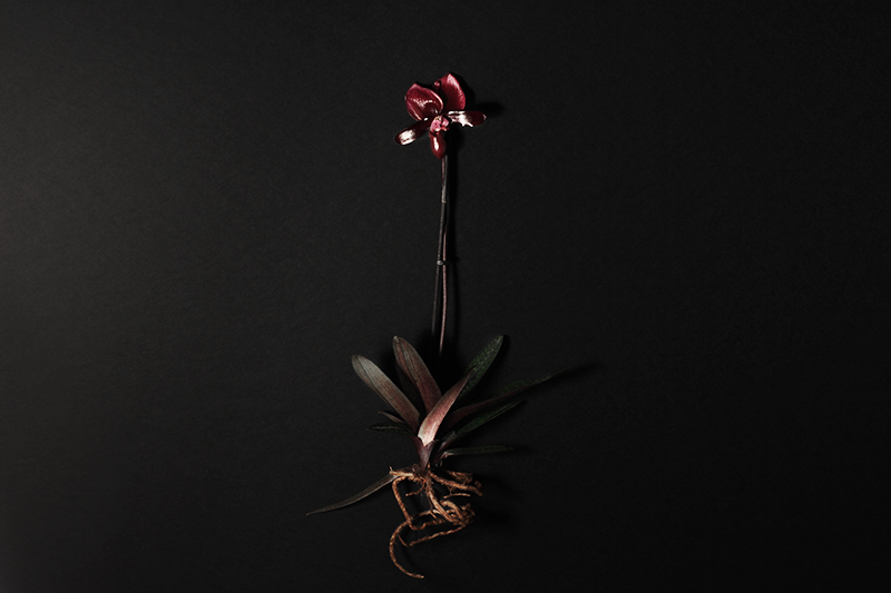 Geometrica 06 